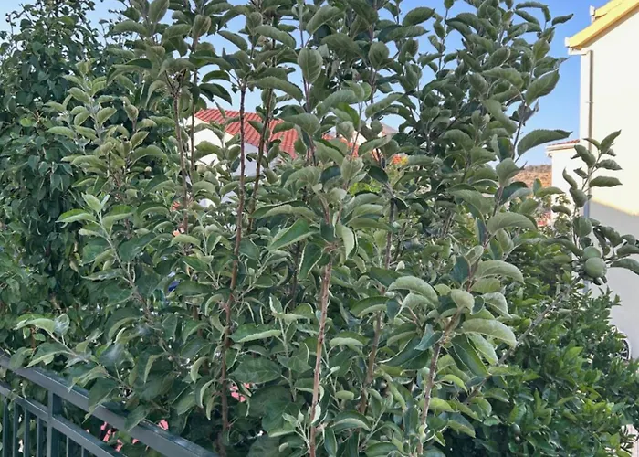 Boljat Lejlighed *