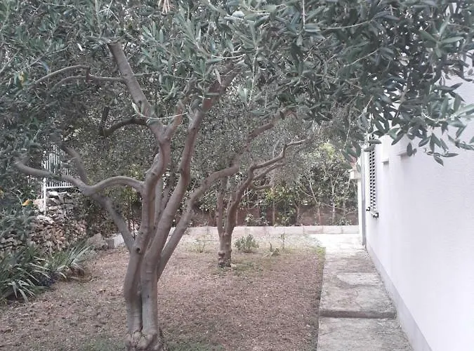 Boljat * Trogir