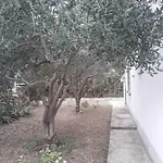Boljat * Trogir