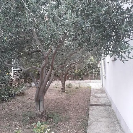 Boljat * Τρογκίρ